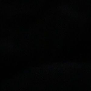 Meet your Posher, Demetrius